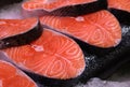 Salmon slices on ice