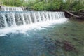 Salmon Spawning Royalty Free Stock Photo