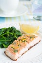 Salmon with Spinach Royalty Free Stock Photo