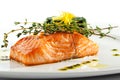 Salmon Steak Royalty Free Stock Photo