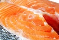 Salmon steak close up Royalty Free Stock Photo