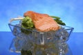 Salmon steak on crystal ice cubes Royalty Free Stock Photo