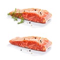 Salmon steak with dill isolated vector hand drawn illustration