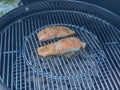 Salmon steak with herbs on a grill close-up. Outdoors cooking. BBQ concept