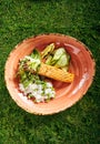 Salmon Steak and Rice Royalty Free Stock Photo