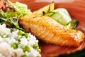 Salmon Steak and Rice Royalty Free Stock Photo