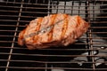 Salmon steaks cooking on barbecue grill Royalty Free Stock Photo