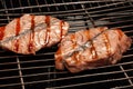 Salmon steaks cooking on barbecue grill Royalty Free Stock Photo