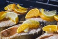 Salmon Steaks Cooking on the BBQ Royalty Free Stock Photo