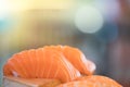 Salmon sushi, Japanese food delicious menu, bokeh blurred background with copy space