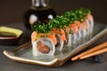 Salmon sushi roll aligned on plate Royalty Free Stock Photo