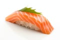 Salmon Sushi on White Background, Salmon Susi Lunch, Nori Maki, Nigiri Sushi Roll, Japanese Seafood Royalty Free Stock Photo