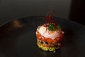 Salmon tartare with raw egg in the kaiseki fine dining Japanese restaurant