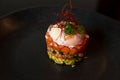 Salmon tartare with raw egg in the kaiseki fine dining Japanese restaurant