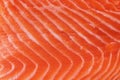 Salmon texture slice closeup view