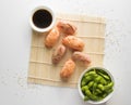 Salmon and tuna fish nigiri set on the white background Royalty Free Stock Photo