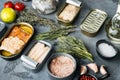 Salmon, tuna, trout mackerel and anchovy - Canned fish in tin cans, on gray background with herbs and ingredients Royalty Free Stock Photo