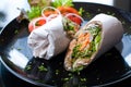 Salmon wrap Royalty Free Stock Photo