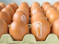 Salmonella bacterium drawn on eggs Royalty Free Stock Photo