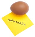 Salmonella Danger Egg
