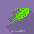 Salmonella icon, flat style