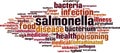 Salmonella word cloud