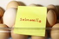 Salmonella word with eggs Royalty Free Stock Photo