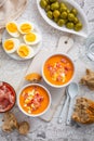 Salmorejo - raw tomato soup with ingredients on a kitchen table, spanish cuisine for hot summer