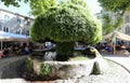 View on famous old mossy fontain in Salon-de-Provence