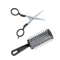 Salon hair accessories set. Metal hair cut scissors and black professional cylinder styling hairbrush.