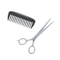 Salon hair accessories set. Metal hair cut scissors and black plastic styling comb. Royalty Free Stock Photo