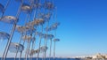 Salonica city umbrellas on the port greece