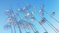 Salonica city umbrellas on the port greece