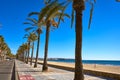 Salou beach Ponent Poniente in Tarragona