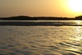 Mangrove forests in the Saloum river Delta area, Senegal, West Africa Royalty Free Stock Photo