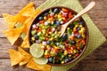 Salsa salad made from corn, blueberries, peppers and onions served with tortilla chips close-up. horizontal top view Royalty Free Stock Photo