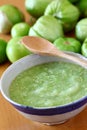 Salsa verde, mexican cuisine Royalty Free Stock Photo