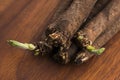 Salsify vegetables on wood Royalty Free Stock Photo