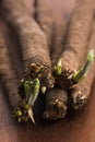Salsify vegetables on wood Royalty Free Stock Photo