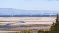 Salt accumulating on the shallow ponds of San Francisco bay at low tide