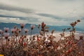 Salt Badwater Basin Panamint Mountains from Dante`s View ,Death Valley National Park Royalty Free Stock Photo