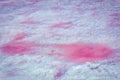 Salt and brine on the surface of pink lake Royalty Free Stock Photo