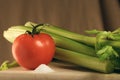 Salt, Celery and Tomato Royalty Free Stock Photo