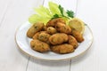 Salt cod (bacalhau,bacalao) fritters, croquettes