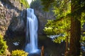 Salt Creek Falls, Willamette National Forest, Oregon Royalty Free Stock Photo