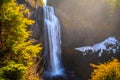 Salt Creek Falls, Willamette National Forest, Oregon Royalty Free Stock Photo
