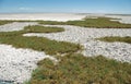 Salt crust in Salar de Atacama Royalty Free Stock Photo