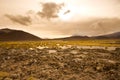 Salt crust at the shore of Lagoon and salt lake Tuyajto Royalty Free Stock Photo