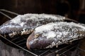 Salt crusted barbecue fish is popular street food in Thailand. The fish is masked with salt and ready to be be grilled Royalty Free Stock Photo