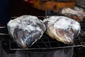 Salt crusted barbecue fish is popular street food in Thailand. The fish is masked with salt and ready to be be grilled Royalty Free Stock Photo